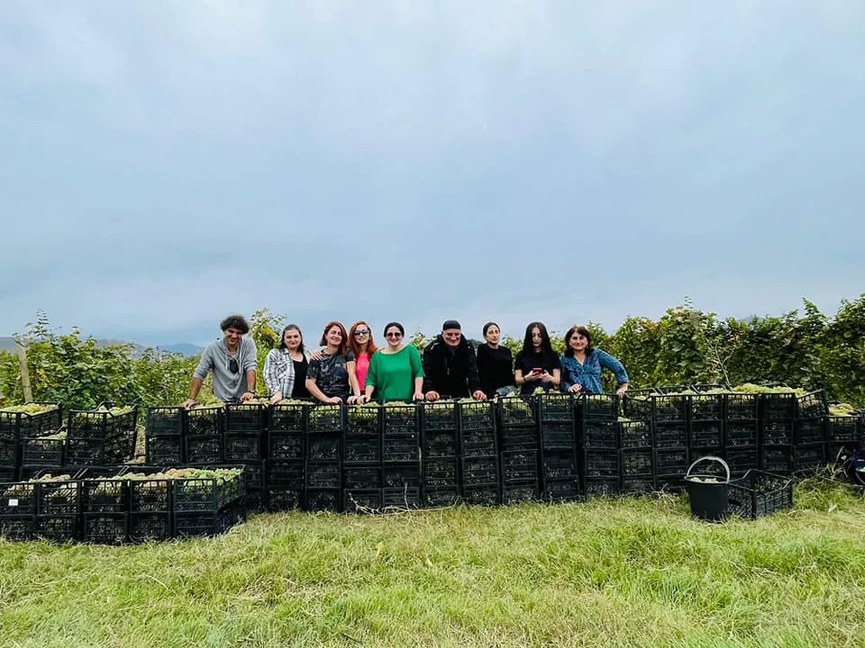 Harvest with friends
